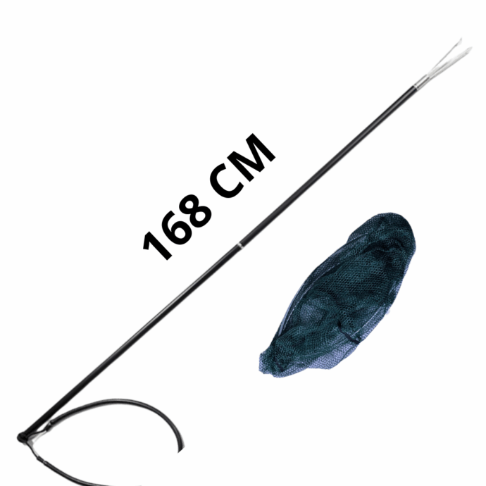 pole spear